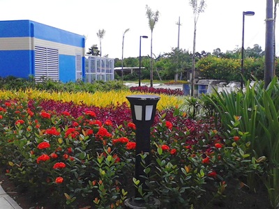 AmiSa Mactan Tower C Landscape Garden
